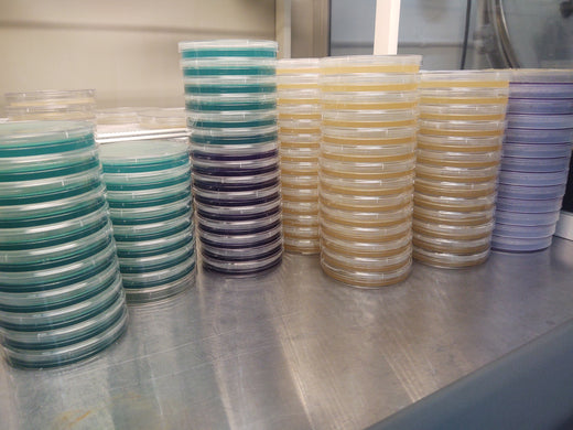 Pre-Poured Agar dish, MEA formulation 10 pack