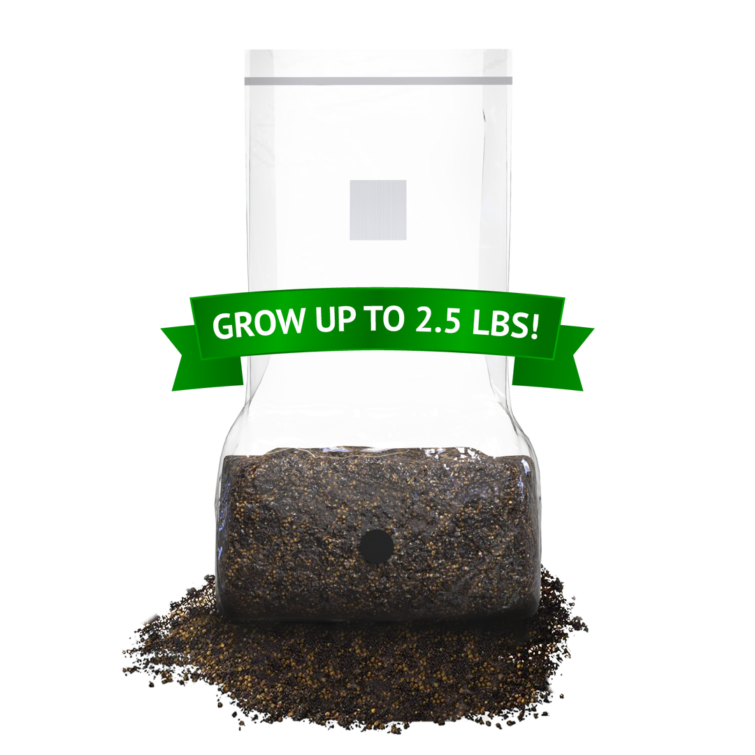 All-In-One Mushroom Grow Bag (5 pounds) - Generation 2 -  Sterilized mushroom media with injection port. 2 bags.