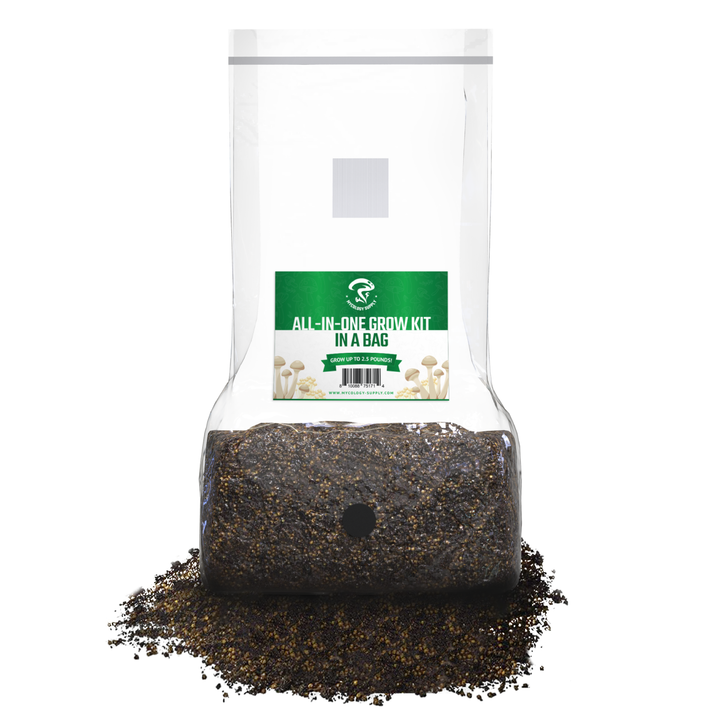 All-In-One Mushroom Grow Bag (5 pounds) - Generation 2 -  Sterilized mushroom media with injection port. 5 bags.