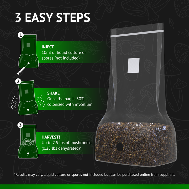 All-In-One Mushroom Grow Bag (5 pounds) - Generation 2 -  Sterilized mushroom media with injection port. 1 bag.