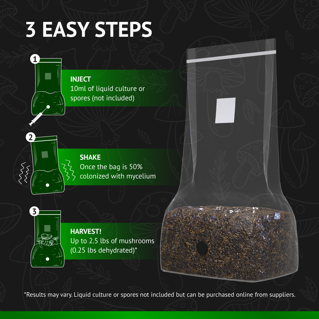 All-In-One Mushroom Grow Bag (5 pounds) - Generation 2 -  Sterilized mushroom media with injection port. 3 bags.