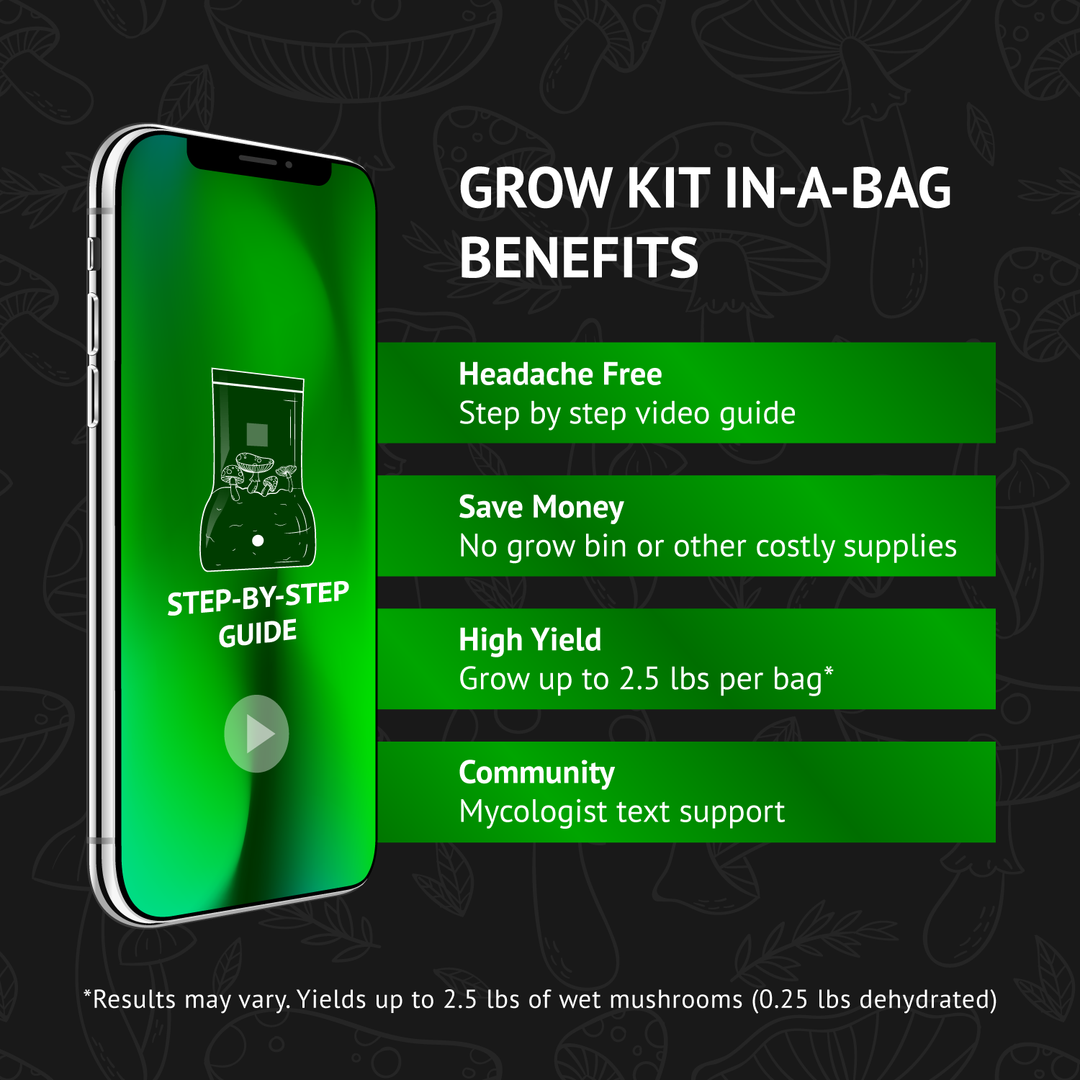 All-In-One Mushroom Grow Bag (5 pounds) - Generation 2 -  Sterilized mushroom media with injection port. 2 bags.