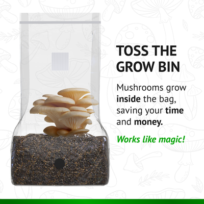 All-In-One Mushroom Grow Bag (5 pounds) - Generation 2 -  Sterilized mushroom media with injection port. 1 bag.