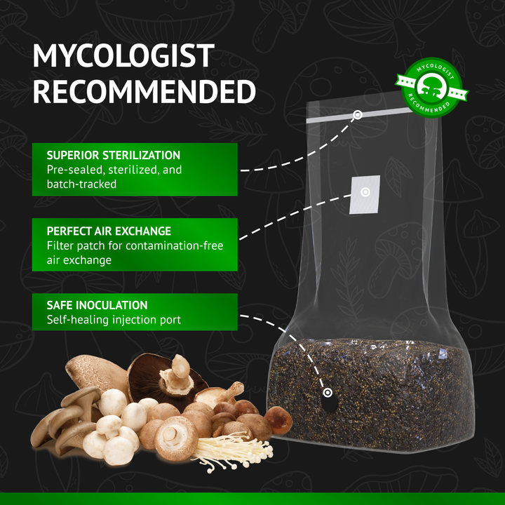 All-In-One Mushroom Grow Bag (5 pounds) - Generation 2 -  Sterilized mushroom media with injection port. 2 bags.