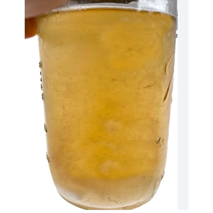 Mushroom Liquid Culture Kit — 40x Spore Germinating &amp; Cloning System