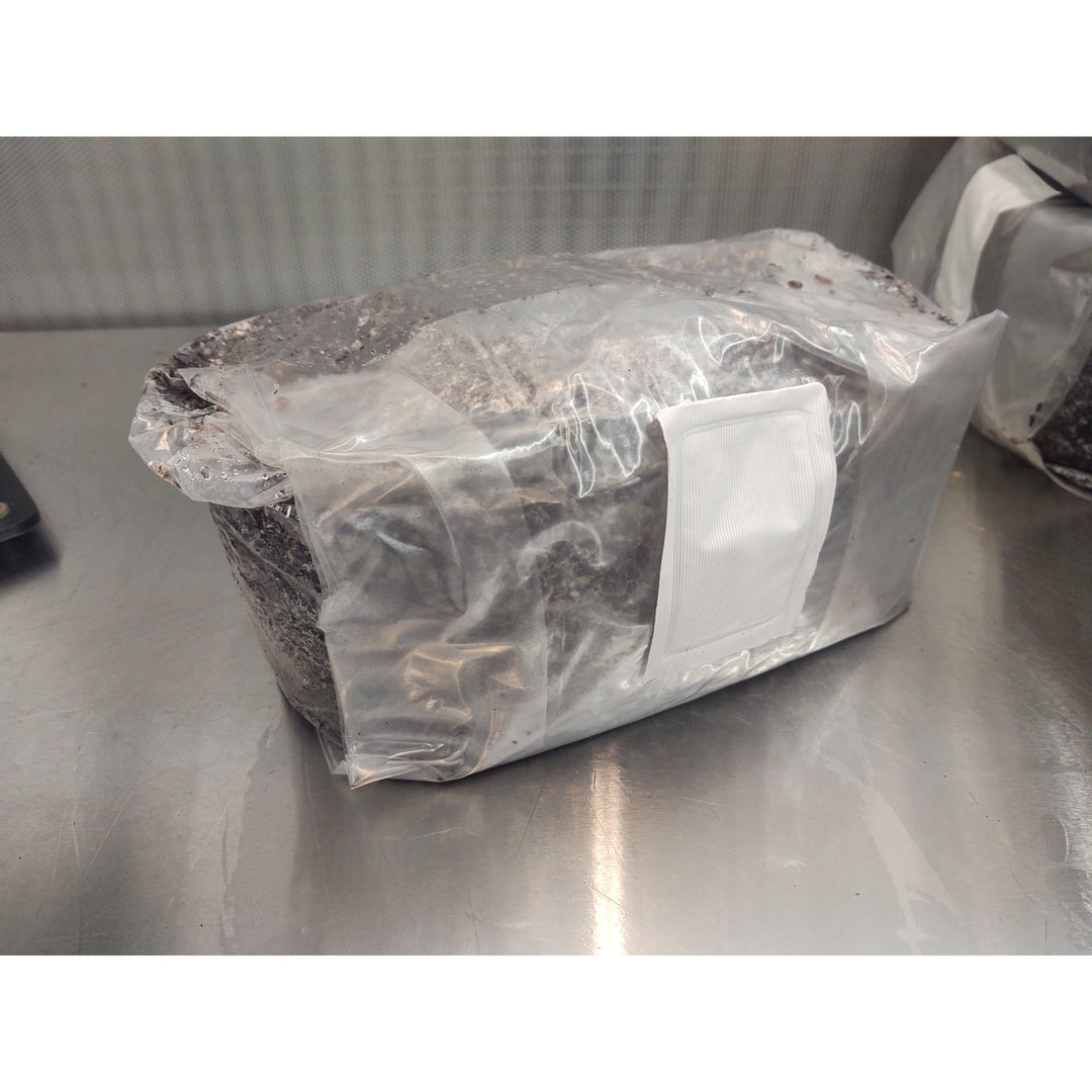 Mushroom Growing Substrate for Wood Loving Species (5 bags)
