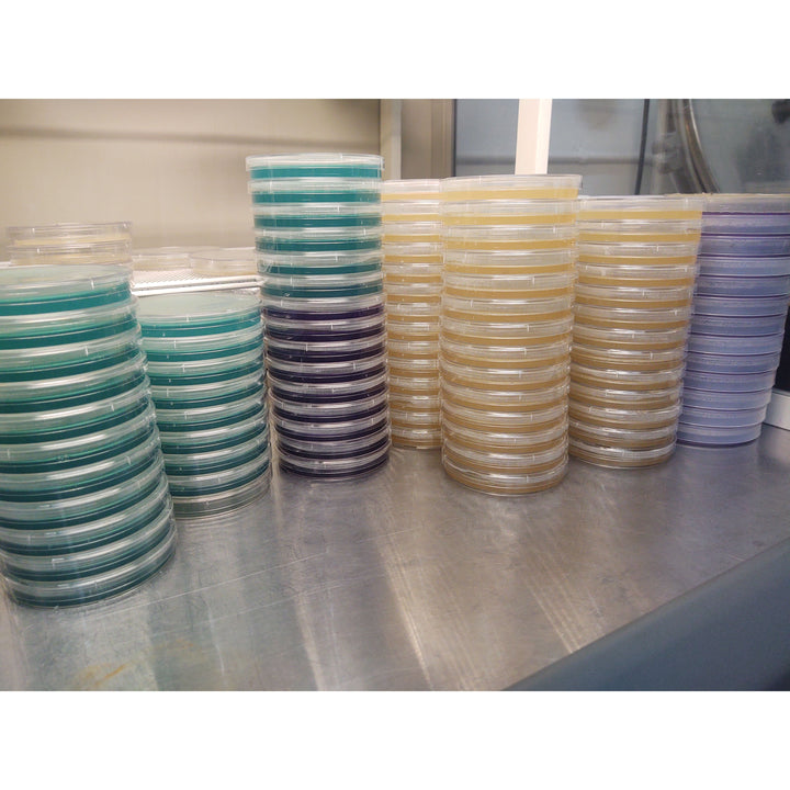 Pre-Poured Agar dish, PDA formulation 10 pack