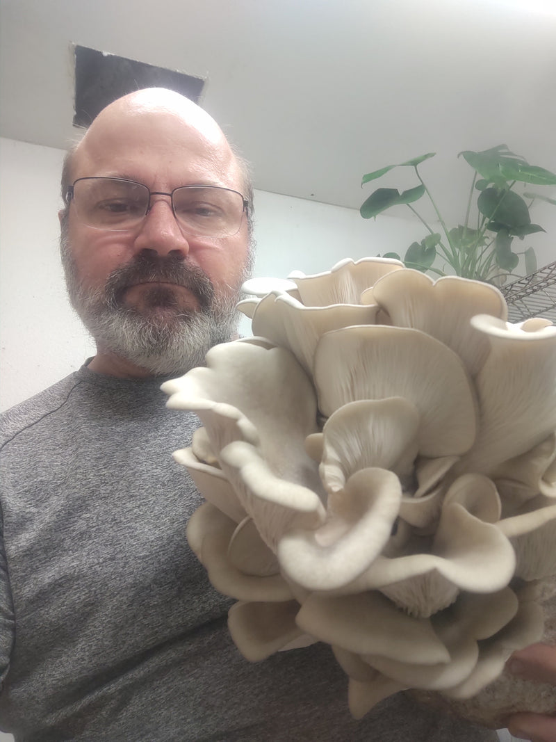 Online Consultation for mushroom farmers (Interactive Zoom Call)