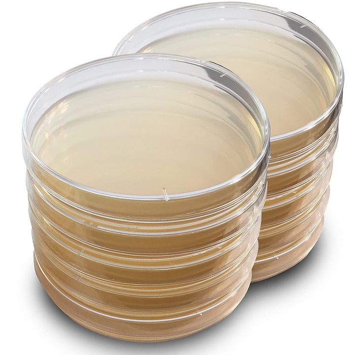 Pre-Poured Agar dish, MEA formulation 40 pack
