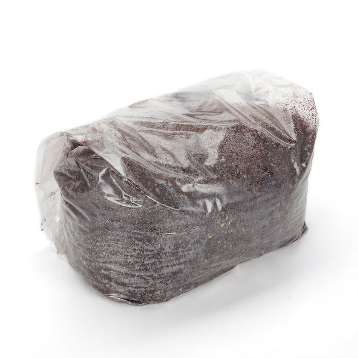 Mushroom Growing Substrate for Wood Loving Species (5 bags)