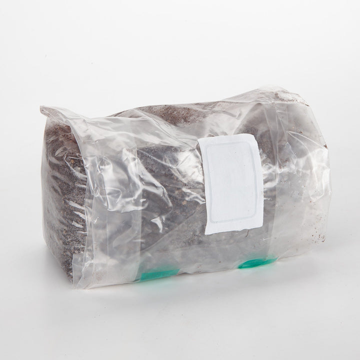 Mushroom Growing Substrate for Wood Loving Species (5 bags)