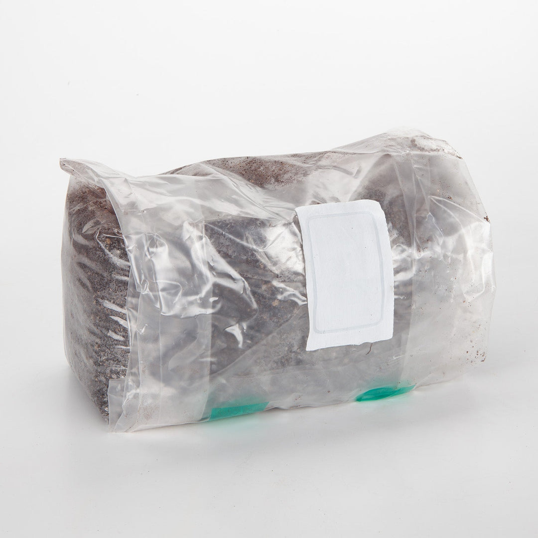 Mushroom Growing Substrate (manure based) for Dung Loving Mushrooms (5 bags)