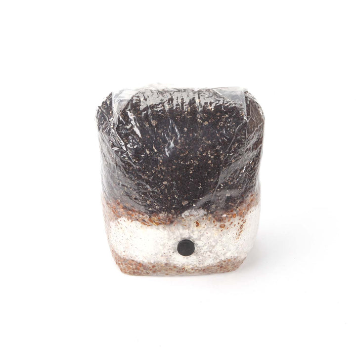 All-In-One Mushroom Grow Bag for Wood Lovers - 5 pounds - Sterilized mushroom media with injection port. 1 bag