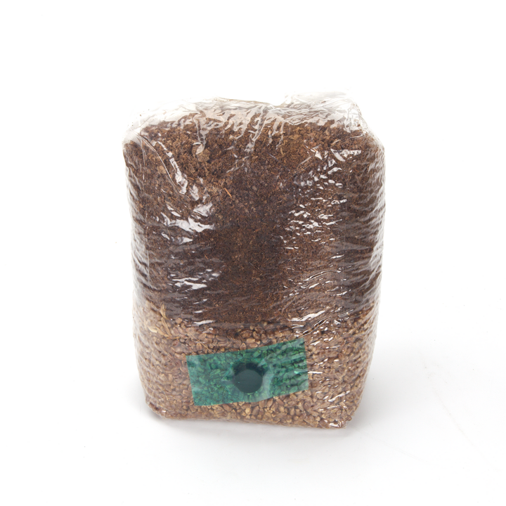 All-In-One Mushroom Grow Bag for Wood Lovers - 5 pounds - Sterilized mushroom media with injection port. 5 bags