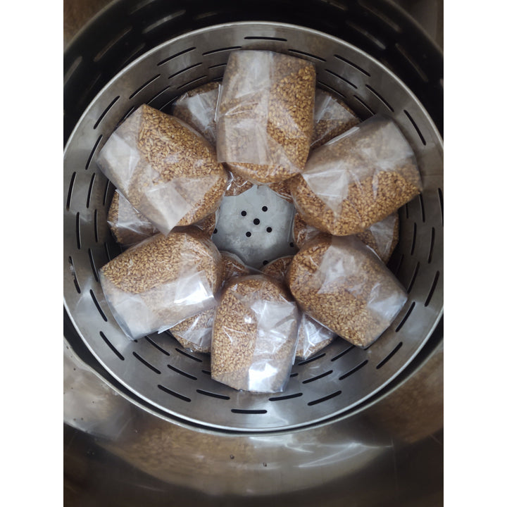 Grain Media  - Organic Sorghum Grain, 3.0 pounds - Sterilized mushroom media with injection port. 1 bag