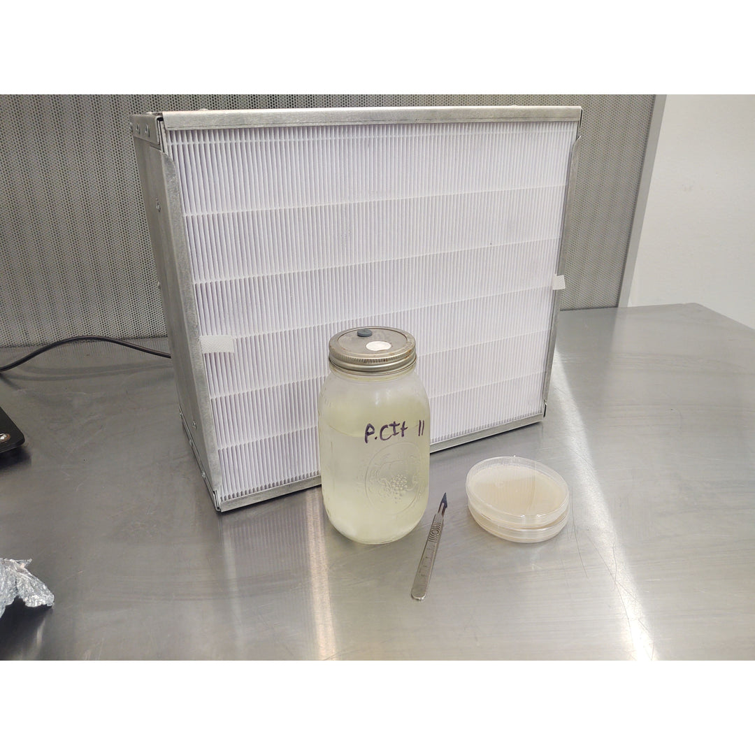 Mycology-Supply Laminar Flow HEPA Filter - 13" x 15" - Model 1 Mushroom Flow Hood