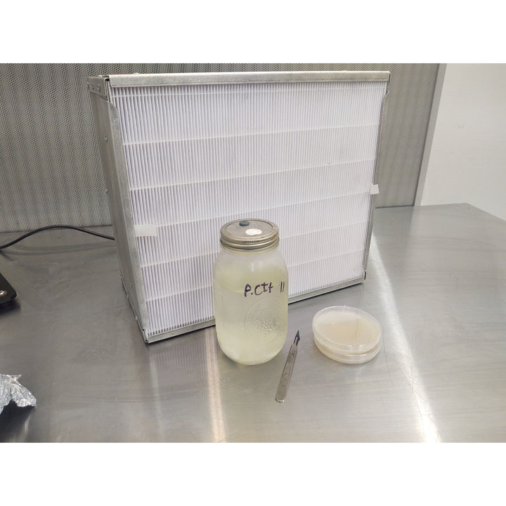Mycology-Supply Laminar Flow HEPA Filter - 13" x 15" - Model 1 Mushroom Flow Hood
