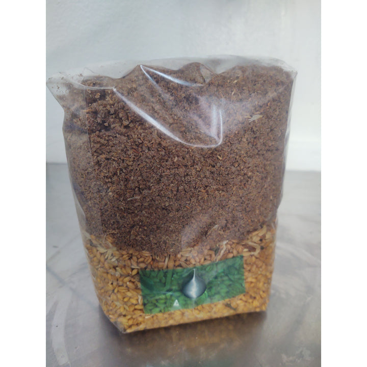 All-In-One Mushroom Grow Bag for Wood Lovers - 5 pounds - Sterilized mushroom media with injection port. 1 bag