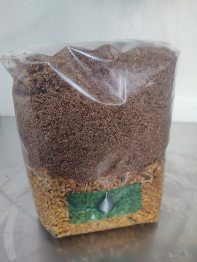 All-In-One Mushroom Grow Bag for Wood Lovers - 5 pounds - Sterilized mushroom media with injection port. 1 bag