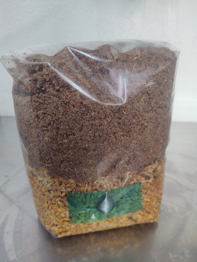 All-In-One Mushroom Grow Bag for Wood Lovers - 5 pounds - Sterilized mushroom media with injection port. 5 bags
