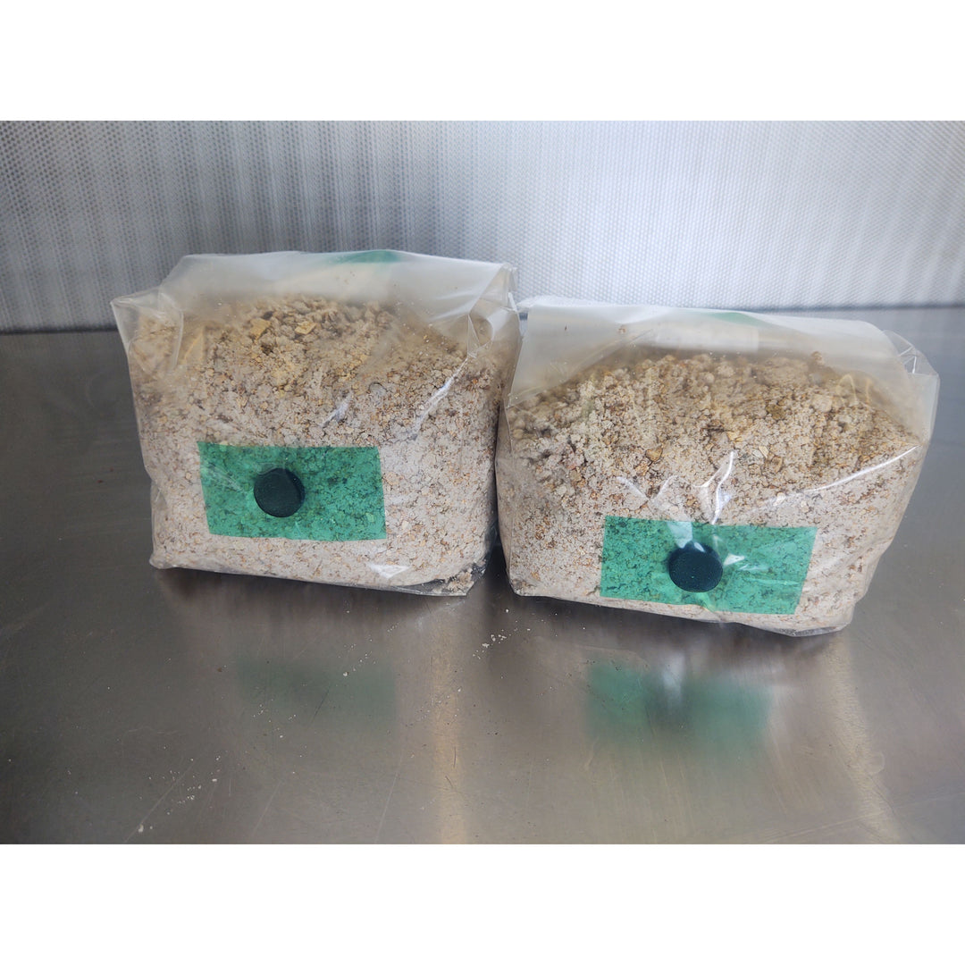 BRF / PF Tek Mushroom Substrate Bags