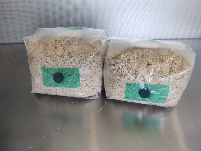 BRF / PF Tek Mushroom Substrate Bags