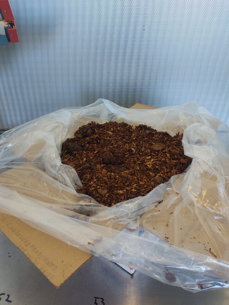 Horse Manure for Mushroom Growing (mycology), Field Aged - Large Flat Rate Box Stuffed Full.