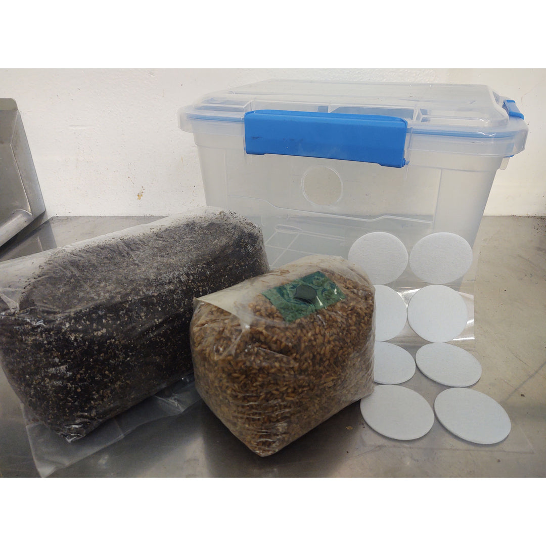 Monotub Kit - Minitub 18 qt kit