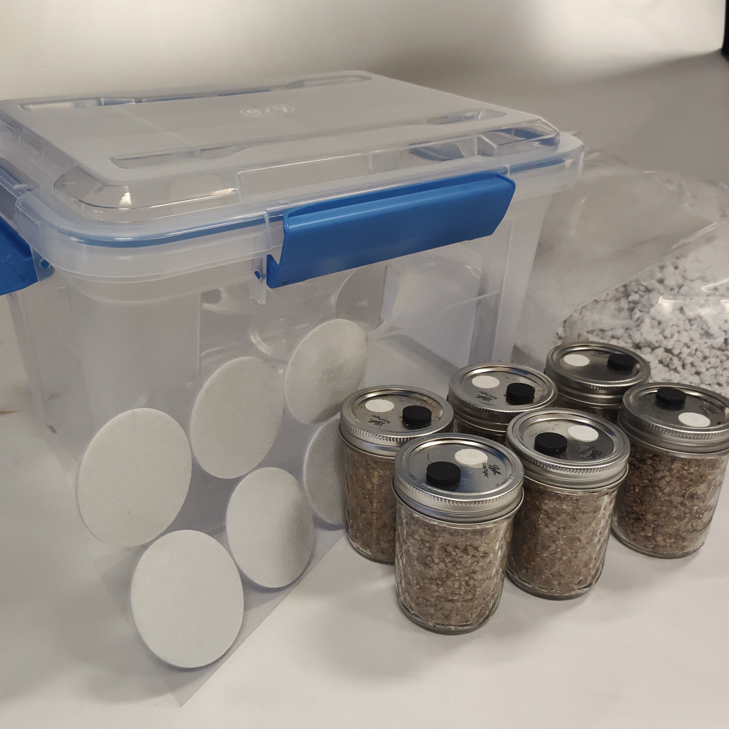 Mushroom Grow Kits