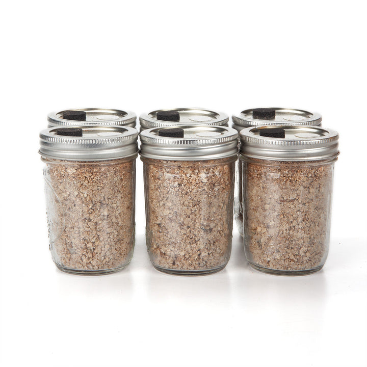 BRF / PF Tek Mushroom Substrate Cakes - 12 pack