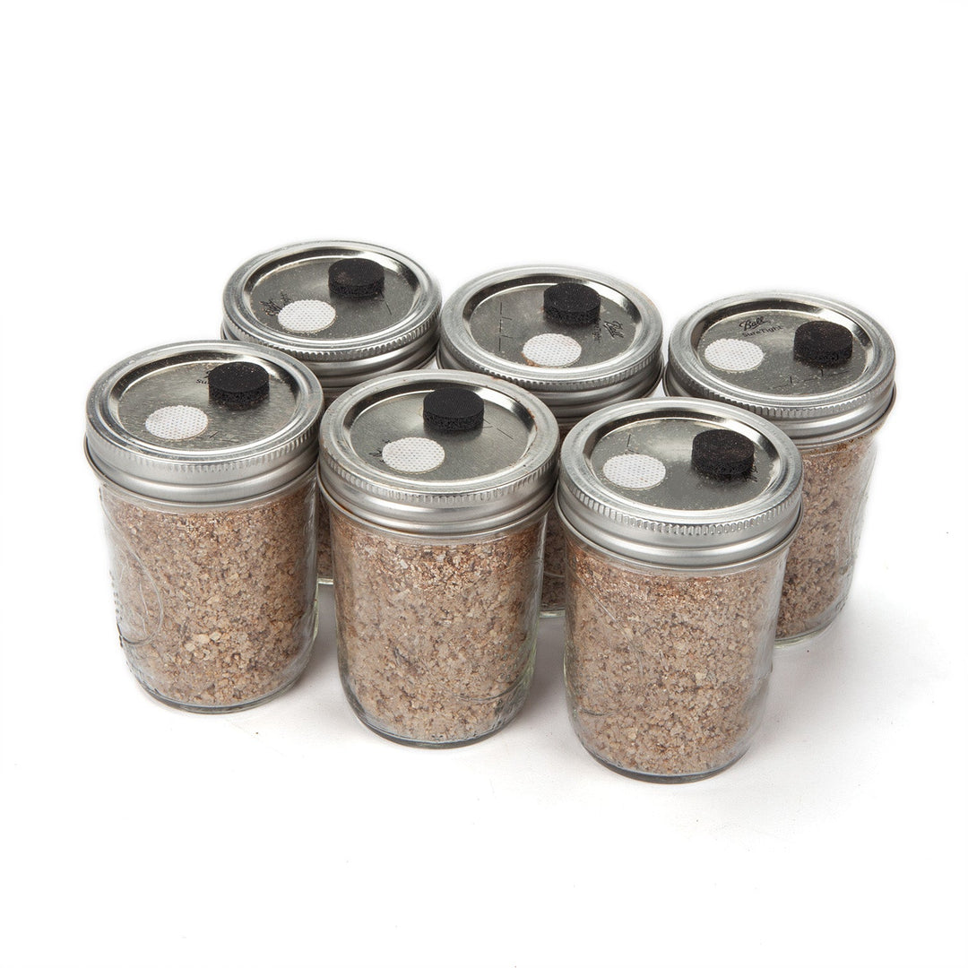BRF / PF Tek Mushroom Substrate Cakes - 12 pack