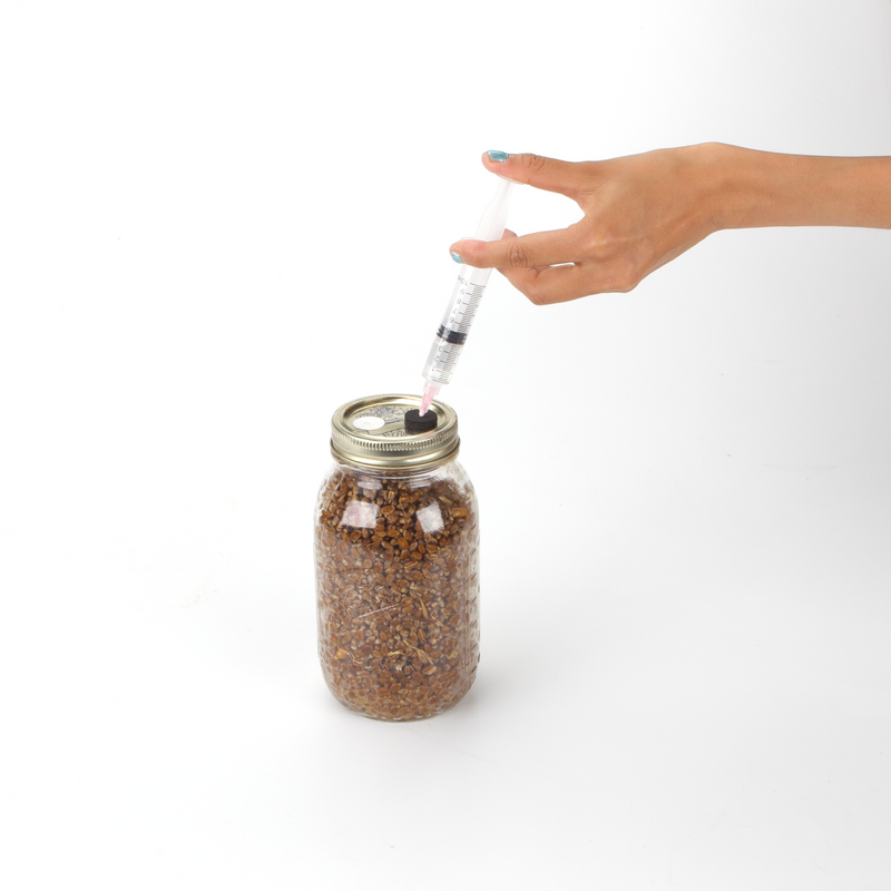 Grain Jar with injection port  - Organic Rye Berries 2 pounds Sterilized (1 jar)