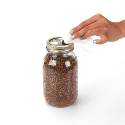 sanitizing grain jar