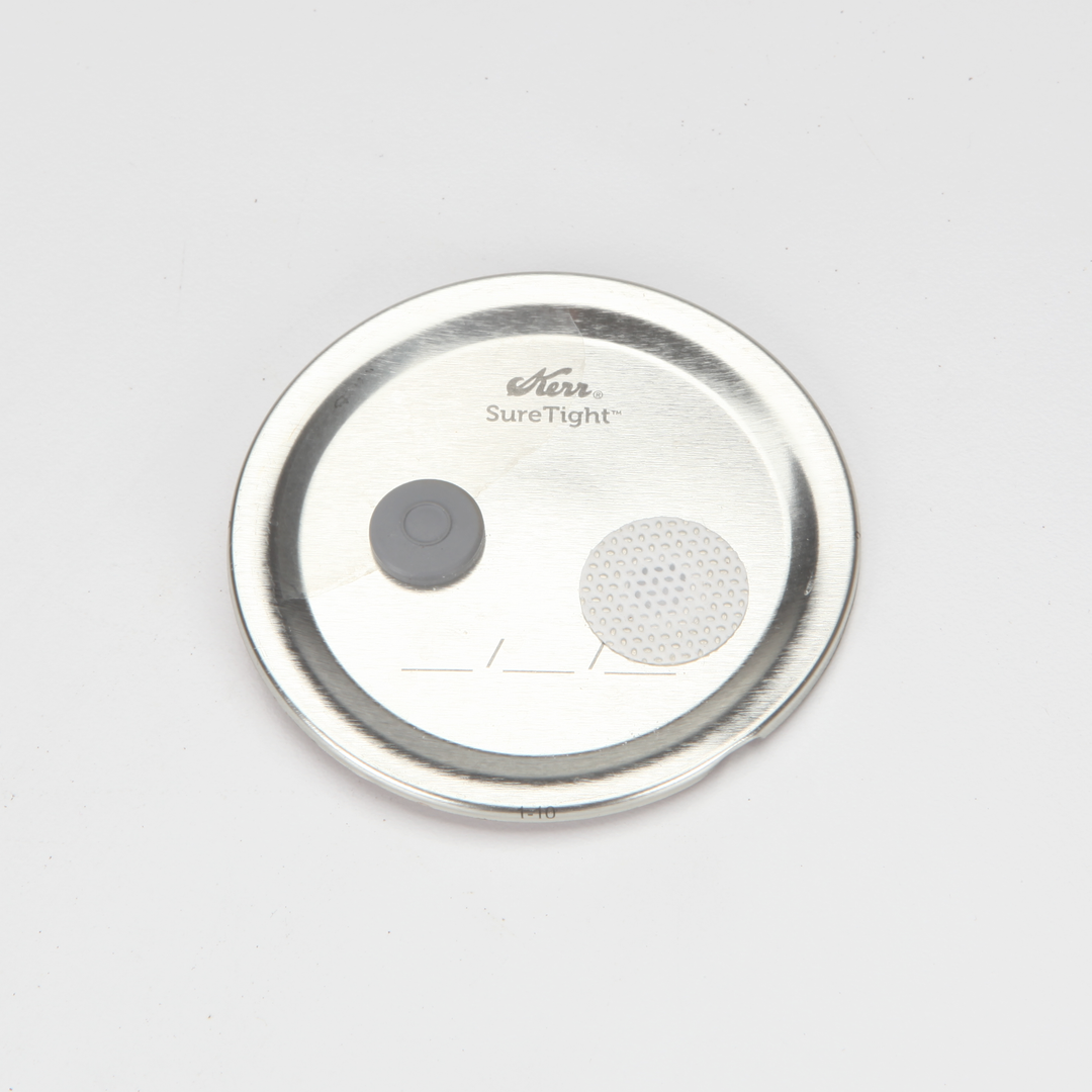 Jar Culture Lid with Filter and Injection Port - 10 Pack