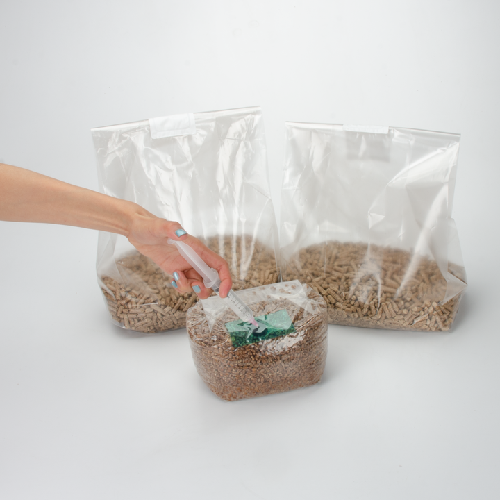 Mycology-supply.com Learning Kit